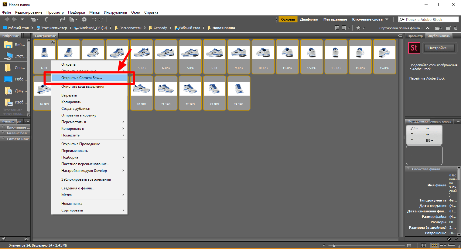 Adobe Bridge